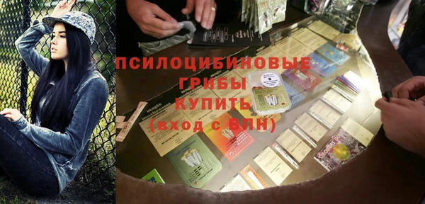 дурь Алексин