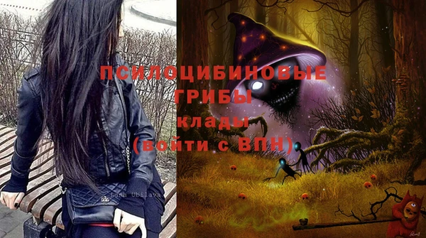 дурь Алексин